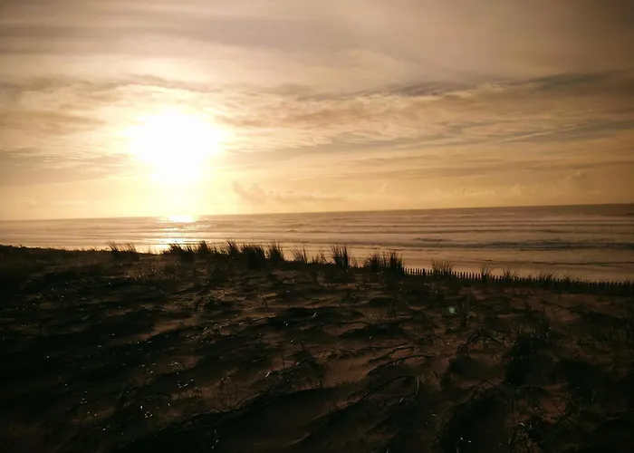 Cocon Les Pieds Dans L'eau- Les Hameaux De L'océan Apartamento